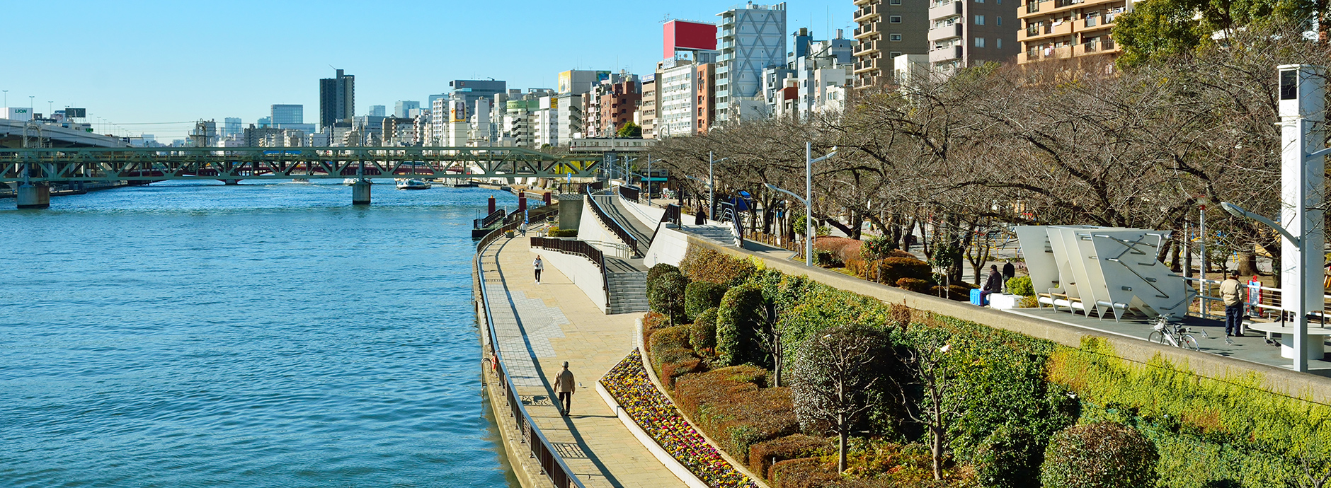 地域の皆様と共に歩む歯科医院 代々歯科医師の家系である荒木歯科医院は、墨田区向島で確かな経験と知識、そして技術を引継ぎ、地域の皆様のかかりつけ医として診療を行っております。